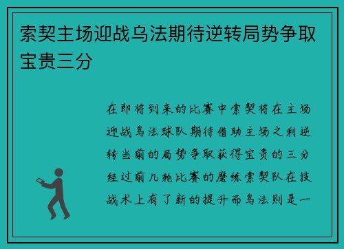 索契主场迎战乌法期待逆转局势争取宝贵三分