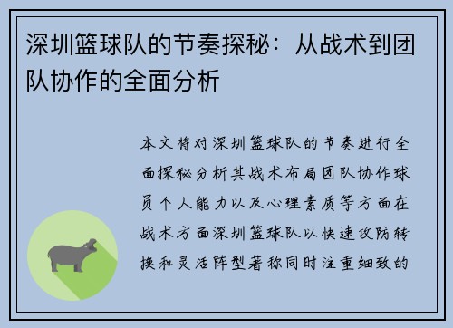 深圳篮球队的节奏探秘：从战术到团队协作的全面分析